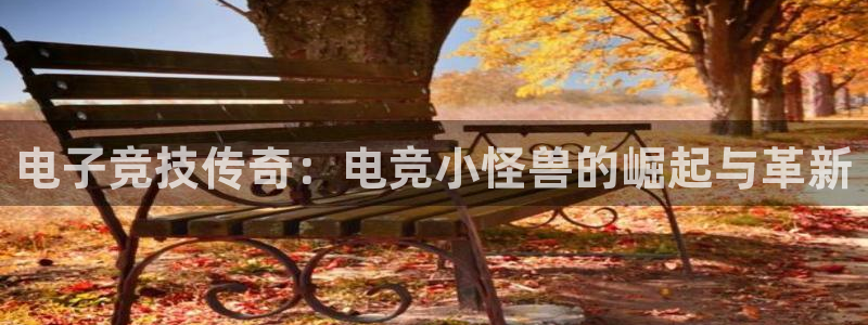 cs完美电竞平台