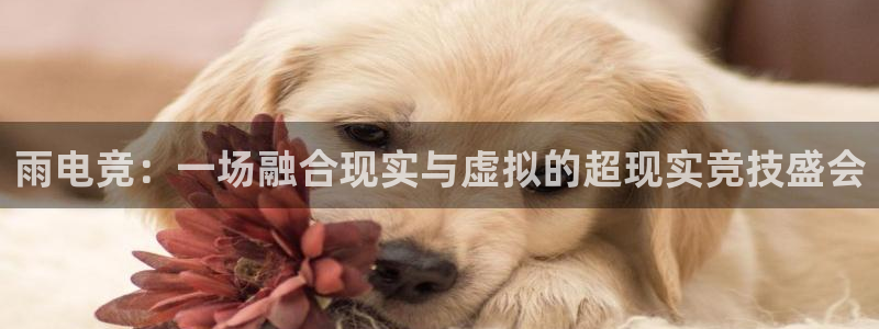 完美电竞app