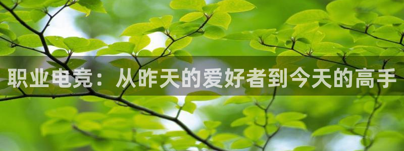 完美电竞官网