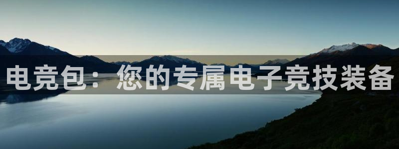 完美电竞查询